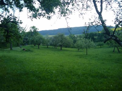 Ortsrundgang mit Kandidaten in Pfrondorf.