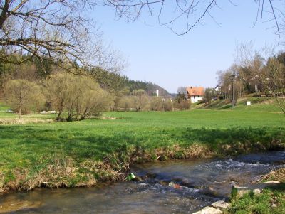 Plastiktüten in der Steinach.